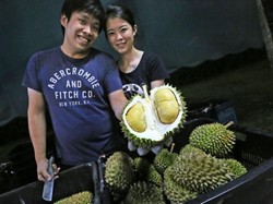 Wow, Rayakan Ultah Pernikahan Pasangan Ini Bagikan 2.200 Kg Durian!