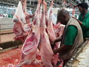 Resmi, Ini 4 Tempat Pembayaran Dam dan Kurban untuk Jemaah Haji