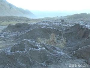 Foto: Bromo Dalam Balutan Embun Es