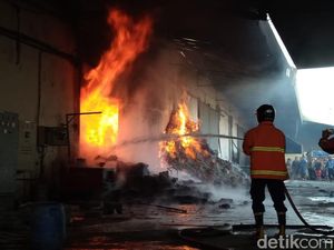 Gudang Egg Tray di Blitar Terbakar, 1,5 Jam Dapat Dipadamkan