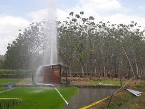 Geger Semburan Air Berpasir Setinggi 30 Meter di Ngawi Geger Semburan Air Berpasir Setinggi 30 Meter di Ngawi