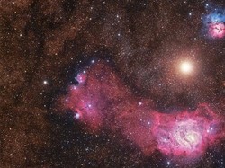 Riset Ilmuwan Ungkap Manusia Bisa Jadi Keturunan Alien