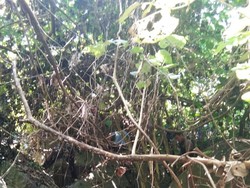 Diculik 15 Tahun, Perempuan Ini Jadi Tumbal Praktik Perdukunan