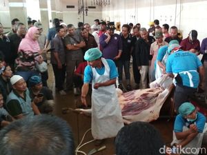 250 Takmir Masjid di Surabaya Diajari Cara Sembelih Hewan Kurban 250 Takmir Masjid di Surabaya Diajari Cara Sembelih Hewan Kurban