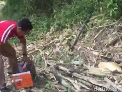 Polisi di Tasikmalaya Temukan Bayi Dibuang dalam Kardus