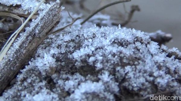 Begini Penampakan Embun Beku di Bromo