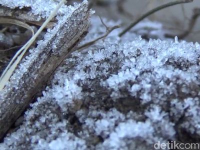 Begini Penampakan Embun Beku di Bromo
