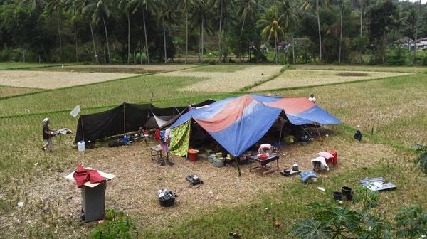 Takut Gempa Susulan, Warga Lombok Mengungsi ke Pematang Sawah