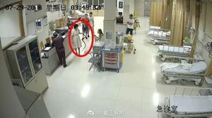 Bikin Heboh! Wanita Ini Bawa Ular yang Menggigitnya ke Rumah Sakit