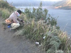 Bekunya Kawasan Bromo Genjot Kunjungan Wisatawan