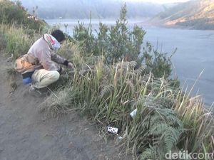 Bekunya Kawasan Bromo Genjot Kunjungan Wisatawan Bekunya Kawasan Bromo Genjot Kunjungan Wisatawan
