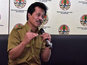Melalui KPH, KLHK Terus Dorong Program Perhutanan Sosial