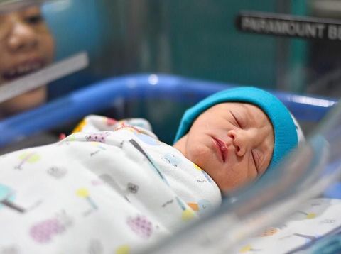 Anak Zee Zee Shahab/