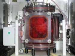 Paru-paru Organik Buatan Berhasil Ditransplantasi ke Babi