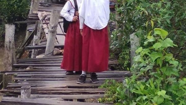 Potret Lapuknya Jembatan di Riau yang Jadi Akses Utama Warga