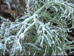Wisatawan Serbu Embun Beku Mirip Salju di Gunung Bromo