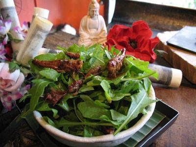 Wouw! Ada Steak Buaya, Salad Jangkrik, hingga Cokelat Ulat di Restoran Ini