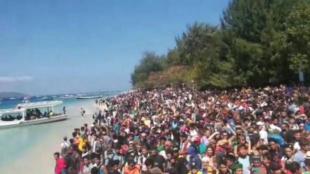Penyebab Gempa Lombok Akibat Sesar Naik Flores