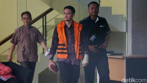 Zumi Zola Segera Disidang