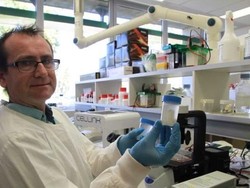 Tulang Rawan Buaya Bisa Obati Nyeri Persendian