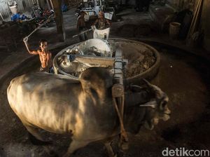 Melihat Proses Pembuatan Mie Lethek Khas Yogyakarta