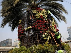 Paling Cocok Ditanam di Taman Kota, Tumbuh-tumbuhan Ini Ampuh Serap Polusi