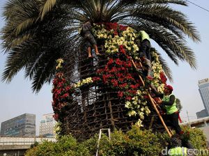 Paling Cocok Ditanam di Taman Kota, Tumbuh-tumbuhan Ini Ampuh Serap Polusi Paling Cocok Ditanam di Taman Kota, Tumbuh-tumbuhan Ini Ampuh Serap Polusi