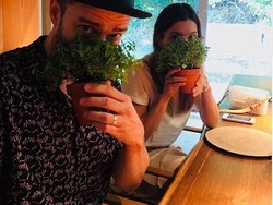 Mampir ke Restoran Molecular Gastronomy, Justin Timberlake Makan Pot Tumbuhan
