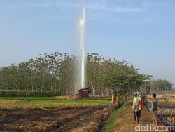 Fakta Fenomena Semburan Air 30 M di Ngawi