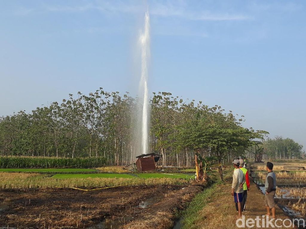 Fakta Fenomena Semburan Air 30 M di Ngawi Fakta Fenomena Semburan Air 30 M di Ngawi
