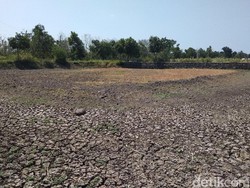 Embung Kering Saat Kemarau, Petani Desa di Semarang Ini Merantau