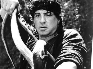 Rambo Is Back! Rambo Is Back!