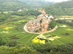 Wajib Lihat! Sawah di Cina Ini Nyeni Banget