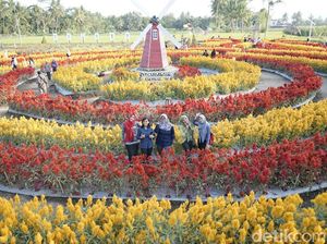 Bukan di Belanda, Ini Taman Bunga Ramadhanu Magelang