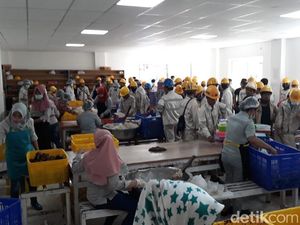 Ribut Jumlah TKA di RI, Ekonom: TKI di Luar Negeri 40 Kali Lipat