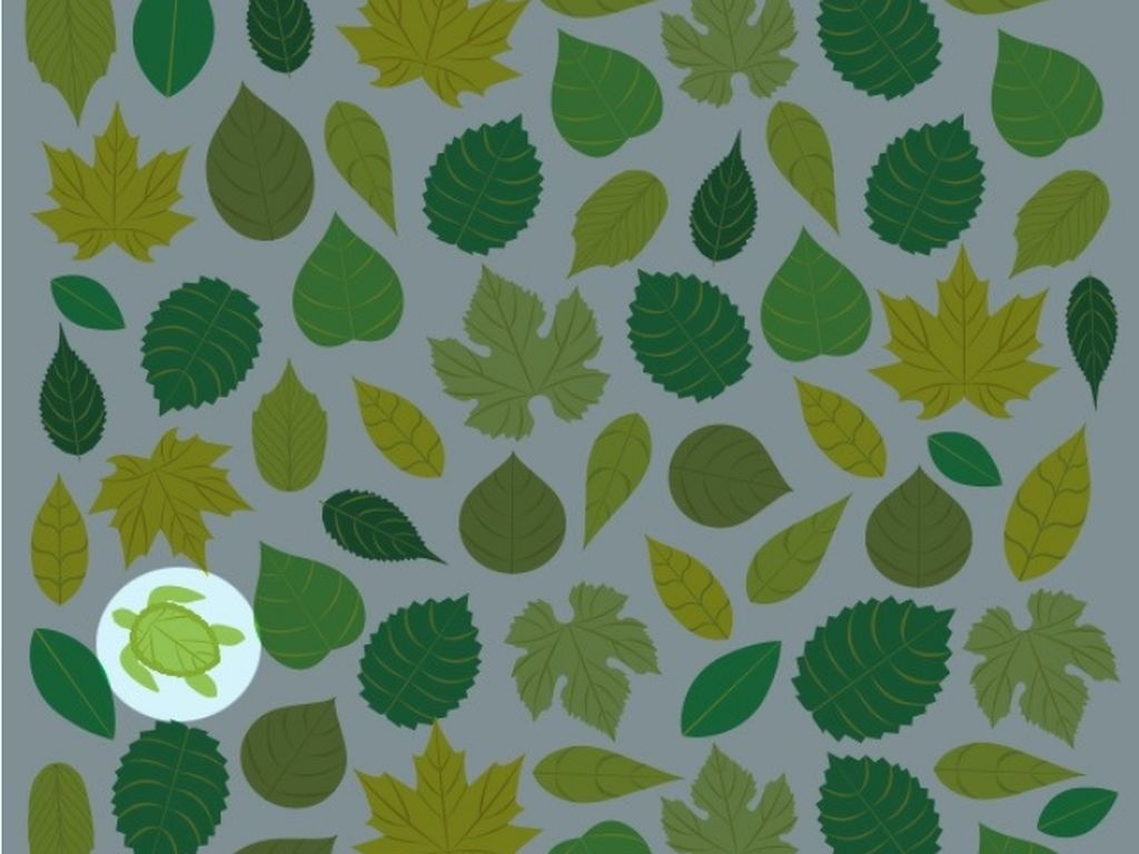 Cek Kemampuan Observasi Kamu Lewat Gambar, Berani? (2) Cek Kemampuan Observasi Kamu Lewat Gambar, Berani? (2)