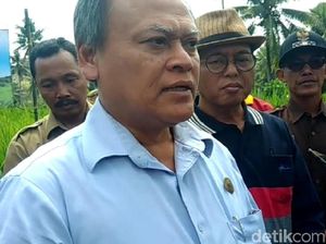 80 Ribu Sapi akan Disembelih saat Hari Raya Kurban di DIY