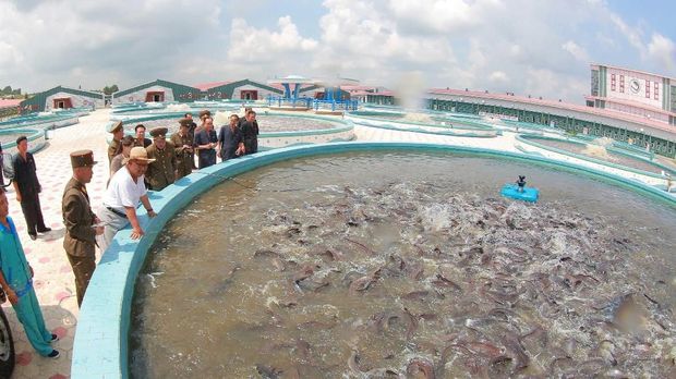 Kunjungi Kolam Ikan Lele, Kim Jong-un Sebut 'Tumpukan Emas'