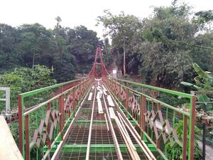 Menengok Pengganti Jembatan Indiana Jones yang Hampir Rampung