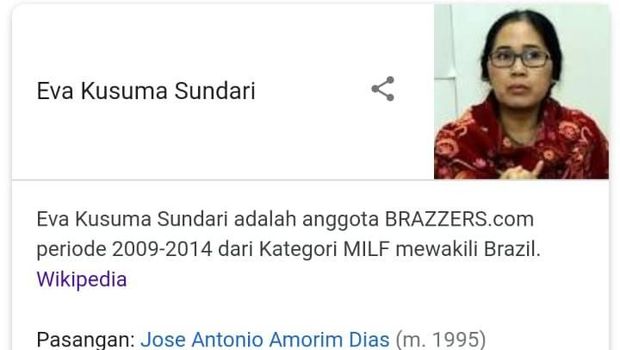 Disebut Anggota Situs Porno di Wikipedia, Elite PDIP akan Lapor Polisi