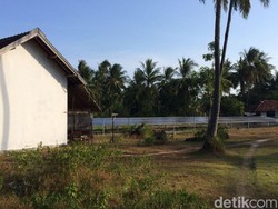 Denmark Bangun Kebun Matahari Terangi Pulau Genting Karimunjawa