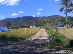 Video: Tolong! Korban Gempa Dekat Pelabuhan Gili Butuh Bantuan