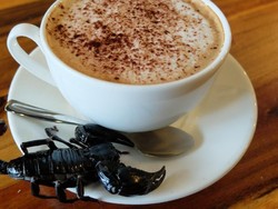 Di Kafe Ini, Bisa Minum Kopi Sambil Bermain dengan Kalajengking dan Tarantula