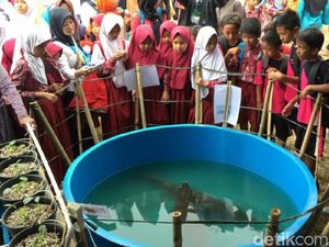 2 Aligator yang Selamat dari Pemusnahan Dipamerkan 2 Aligator yang Selamat dari Pemusnahan Dipamerkan