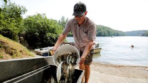 Ganasnya Gelombang Panas di Swiss Bikin 1 Ton Ikan Mati