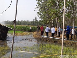 Pemilik Semburan Mengeluh, Sawahnya Tak Bisa Ditanami Lagi