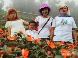 Mau yang Sejuk dan Penuh Bunga, Taman Berkabut Ini Pilihannya