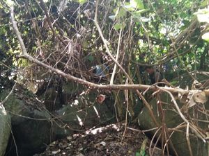 Wanita yang Diculik Dukun Selama 15 Tahun Kini Dijaga di Safe House