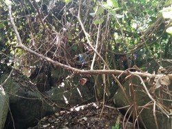 Wanita yang Diculik Dukun Selama 15 Tahun Kini Dijaga di Safe House