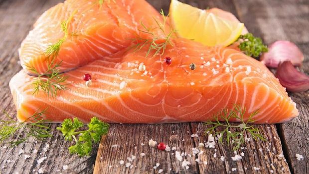 Ilustrasi salmon